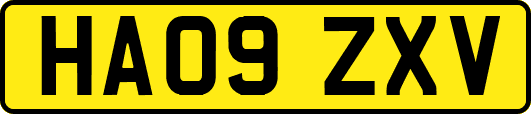 HA09ZXV
