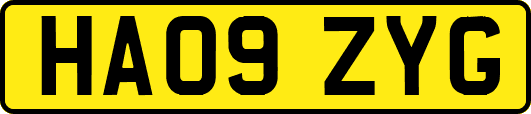 HA09ZYG