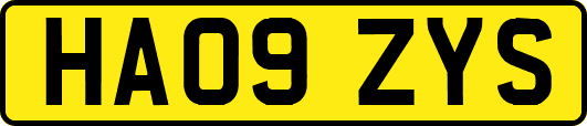 HA09ZYS