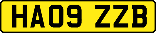 HA09ZZB