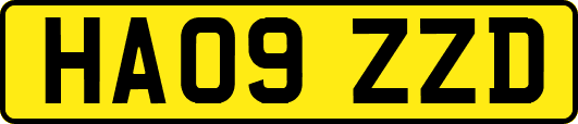 HA09ZZD