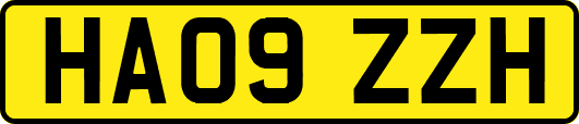HA09ZZH