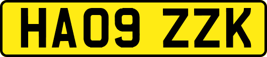 HA09ZZK