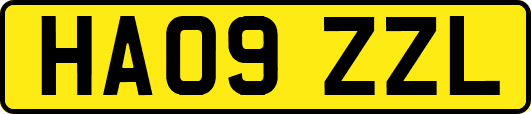 HA09ZZL