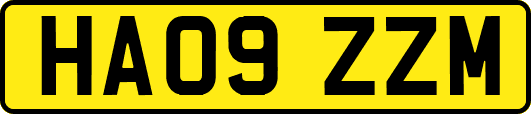 HA09ZZM