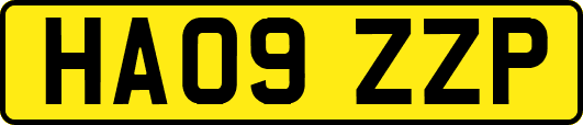 HA09ZZP