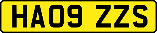 HA09ZZS
