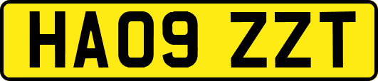 HA09ZZT
