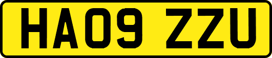 HA09ZZU