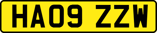 HA09ZZW