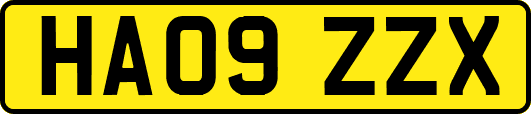 HA09ZZX