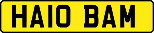 HA10BAM