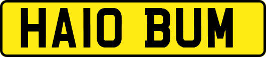 HA10BUM