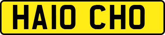 HA10CHO