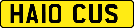 HA10CUS