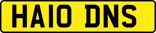 HA10DNS