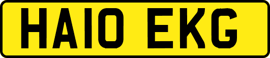 HA10EKG