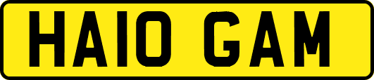 HA10GAM
