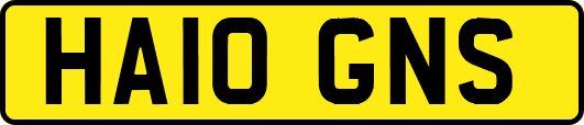 HA10GNS
