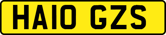 HA10GZS