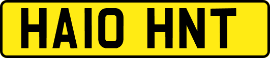 HA10HNT