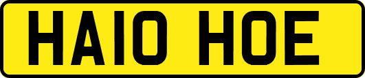 HA10HOE