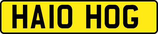 HA10HOG