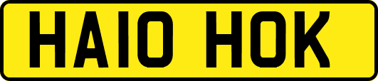 HA10HOK