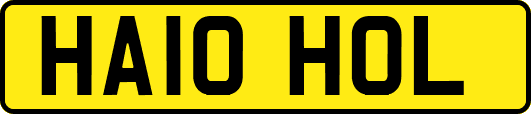 HA10HOL