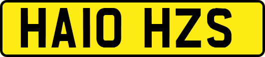 HA10HZS