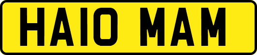 HA10MAM