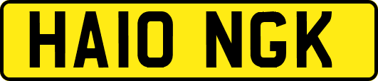 HA10NGK