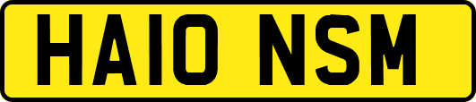 HA10NSM