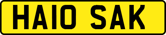 HA10SAK