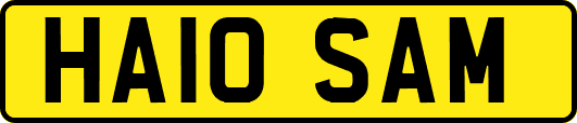 HA10SAM