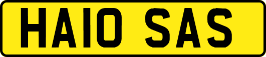 HA10SAS