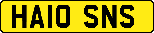 HA10SNS