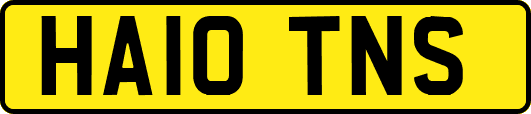 HA10TNS