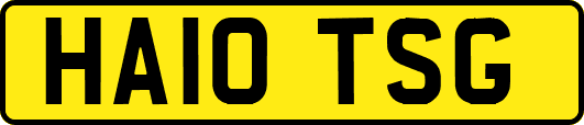 HA10TSG