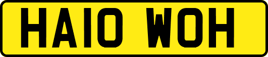 HA10WOH
