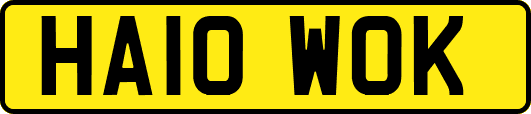 HA10WOK