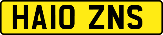 HA10ZNS