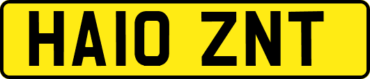 HA10ZNT