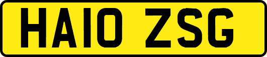 HA10ZSG