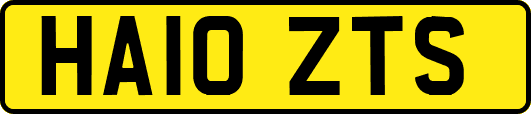 HA10ZTS