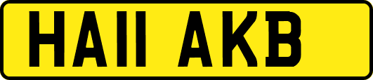 HA11AKB
