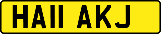 HA11AKJ