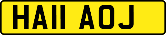HA11AOJ
