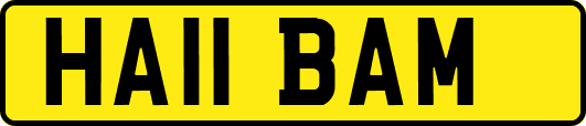 HA11BAM