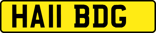 HA11BDG